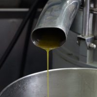 olive-oil-gb5a14659c_1280
